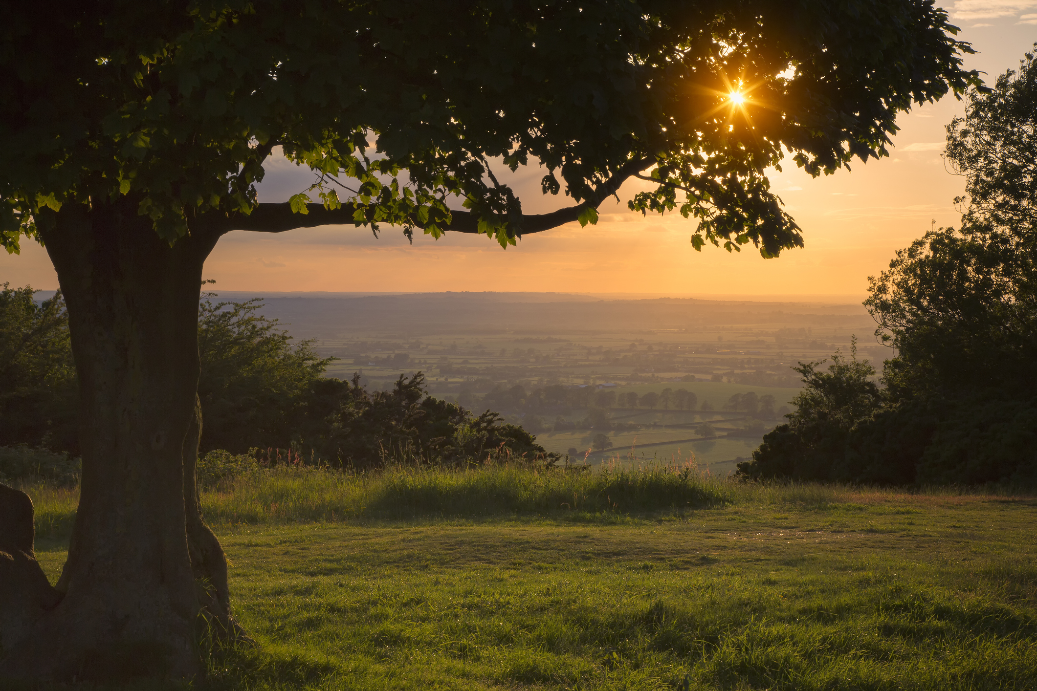 Chiltern-Hills